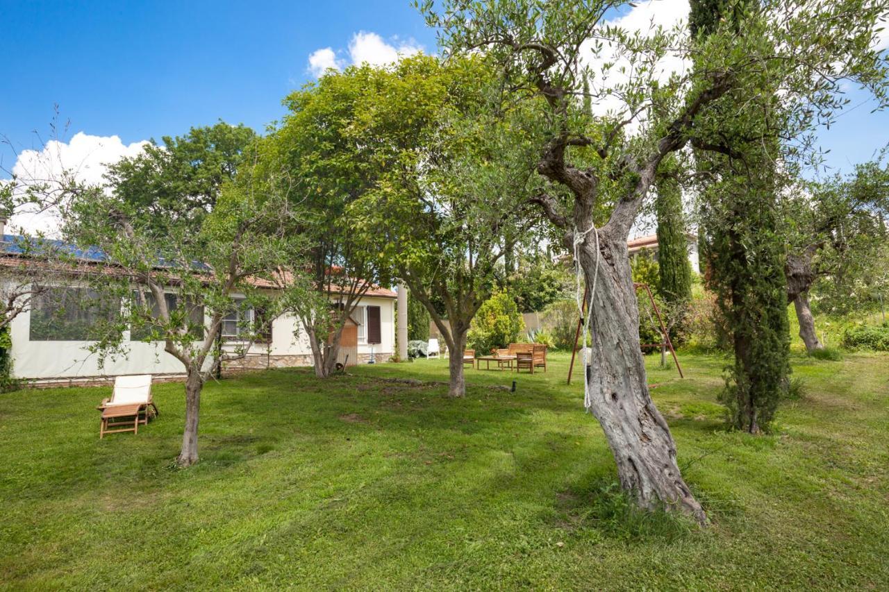 Artemisia Negli Ulivi B&B Magliano in Toscana Exteriér fotografie