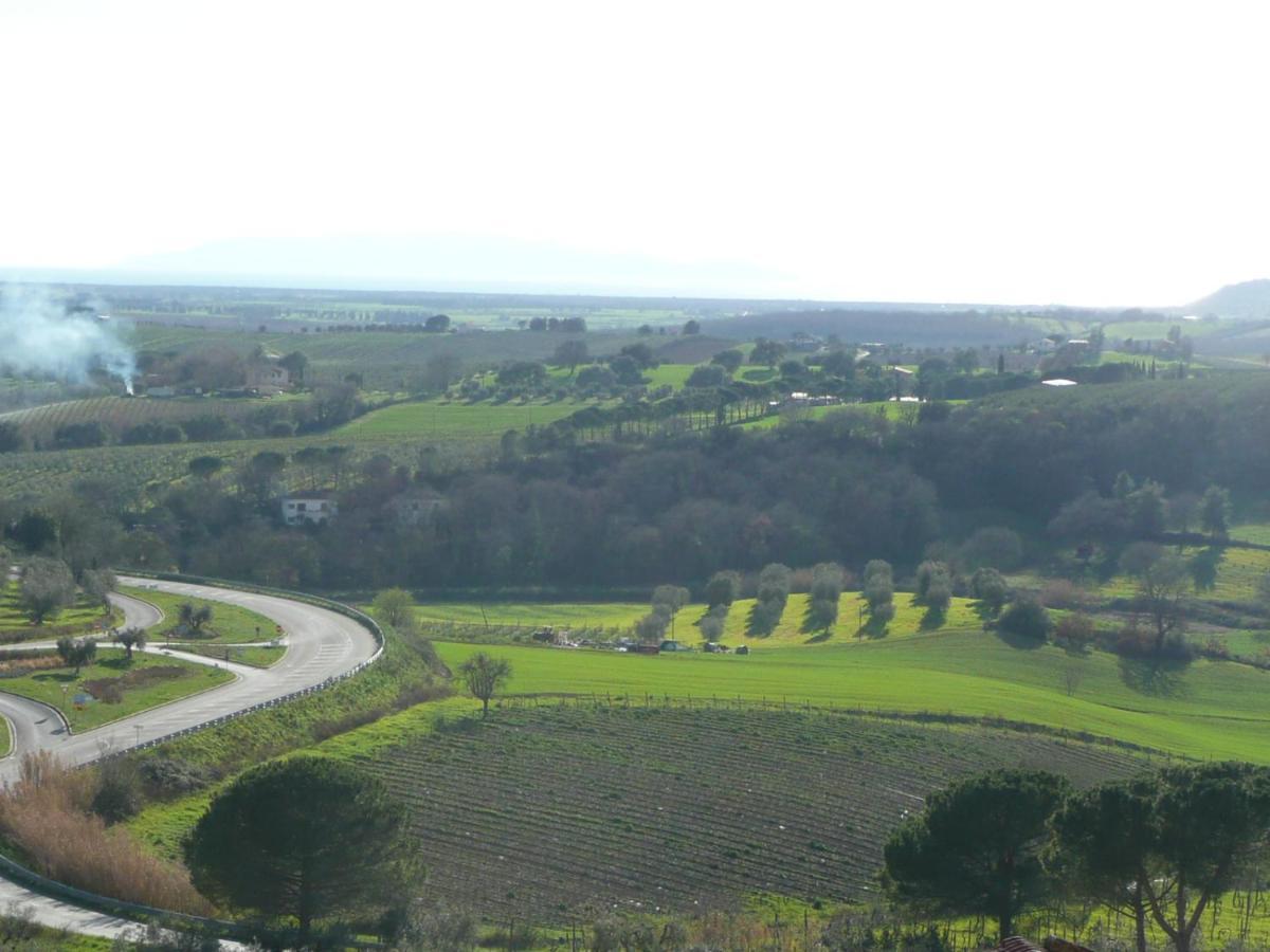 Artemisia Negli Ulivi B&B Magliano in Toscana Exteriér fotografie