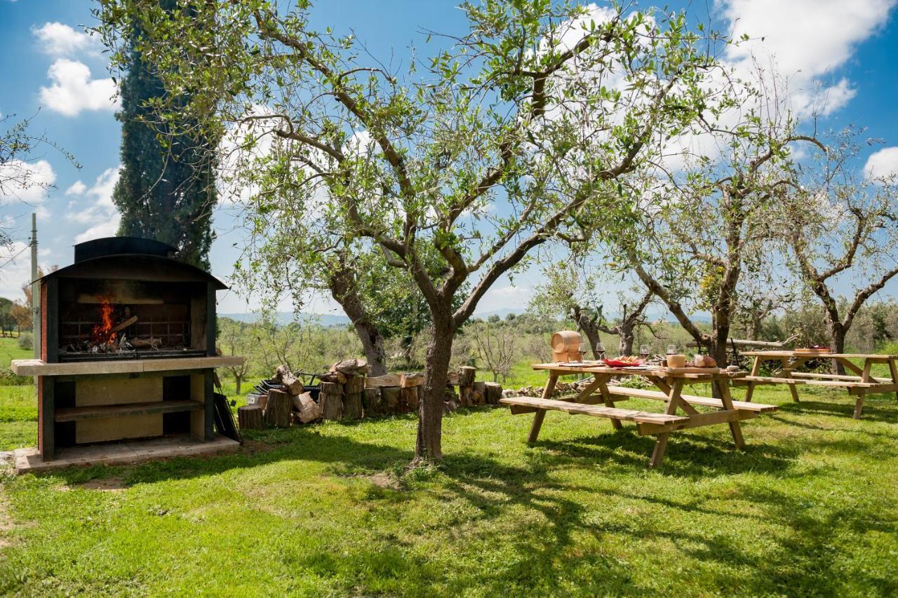 Artemisia Negli Ulivi B&B Magliano in Toscana Exteriér fotografie