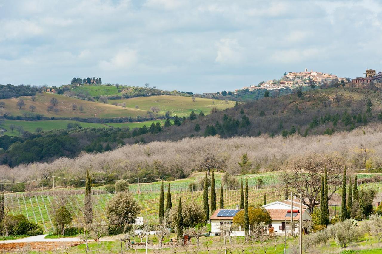 Artemisia Negli Ulivi B&B Magliano in Toscana Exteriér fotografie