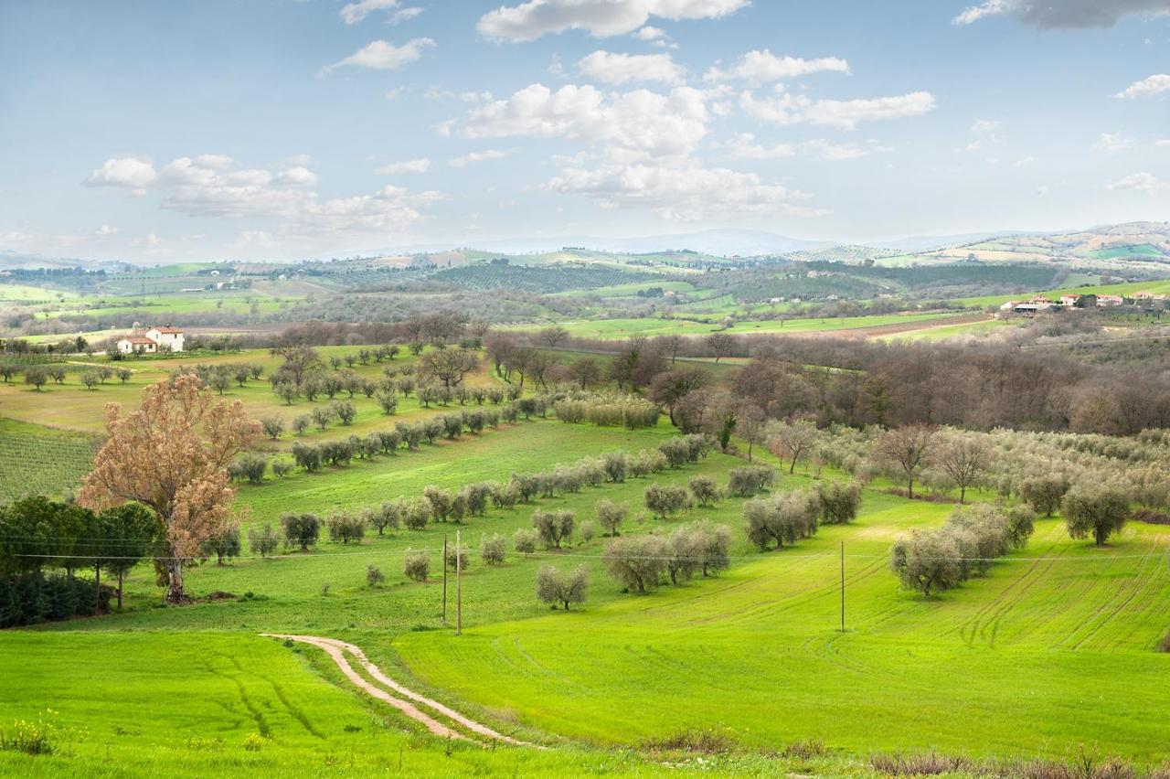 Artemisia Negli Ulivi B&B Magliano in Toscana Exteriér fotografie