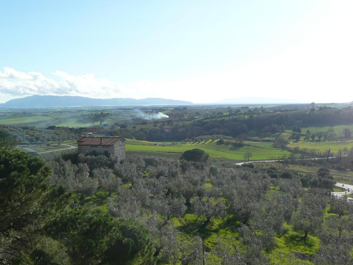 Artemisia Negli Ulivi B&B Magliano in Toscana Exteriér fotografie