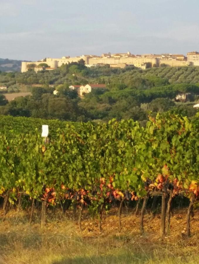 Artemisia Negli Ulivi B&B Magliano in Toscana Exteriér fotografie
