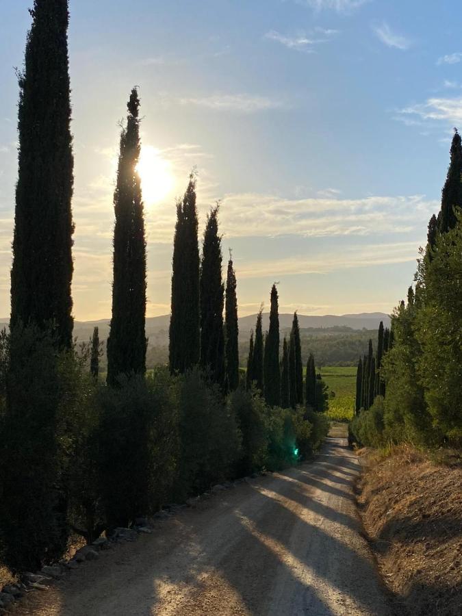 Artemisia Negli Ulivi B&B Magliano in Toscana Exteriér fotografie