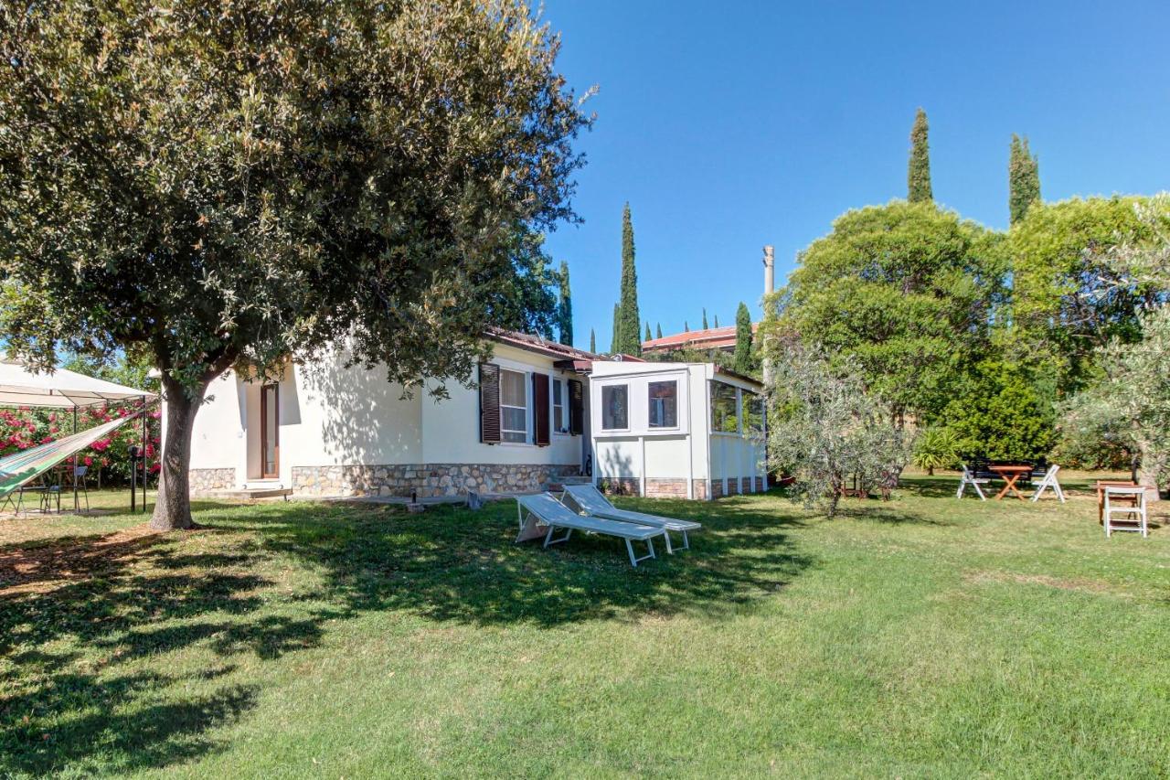 Artemisia Negli Ulivi B&B Magliano in Toscana Exteriér fotografie