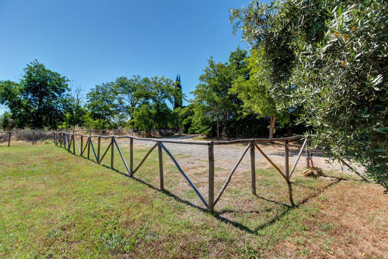 Artemisia Negli Ulivi B&B Magliano in Toscana Exteriér fotografie