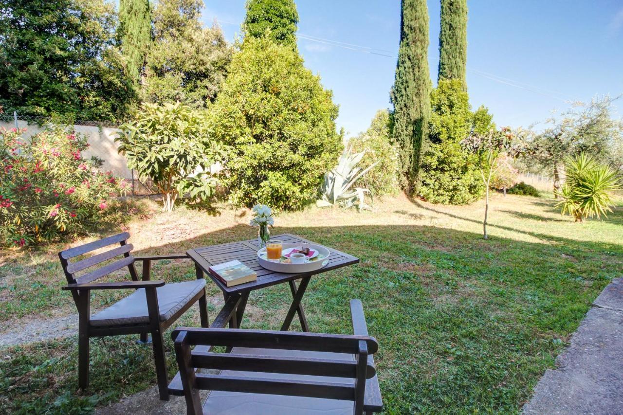Artemisia Negli Ulivi B&B Magliano in Toscana Exteriér fotografie