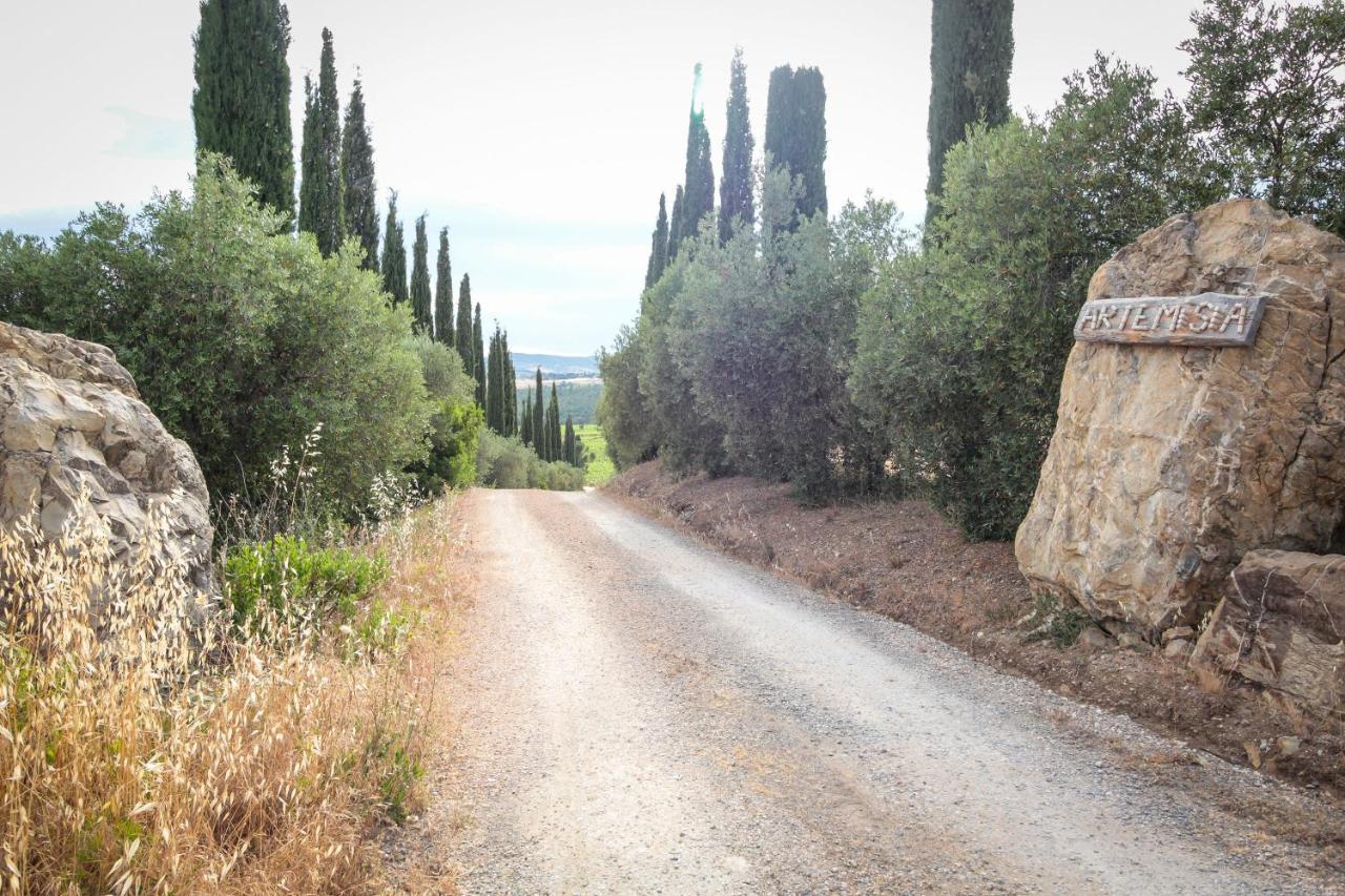 Artemisia Negli Ulivi B&B Magliano in Toscana Exteriér fotografie