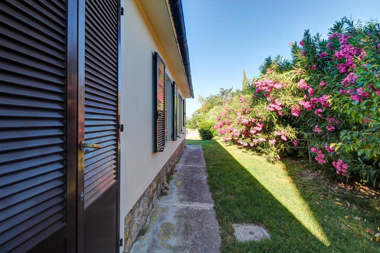 Artemisia Negli Ulivi B&B Magliano in Toscana Exteriér fotografie