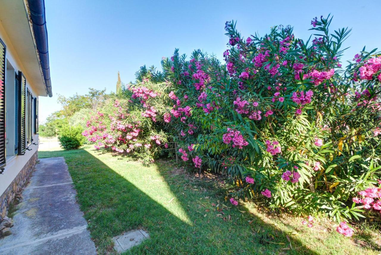 Artemisia Negli Ulivi B&B Magliano in Toscana Exteriér fotografie